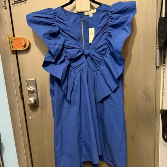 Ruffled Waistless Mini Bow Dress - Picture 6 of 16